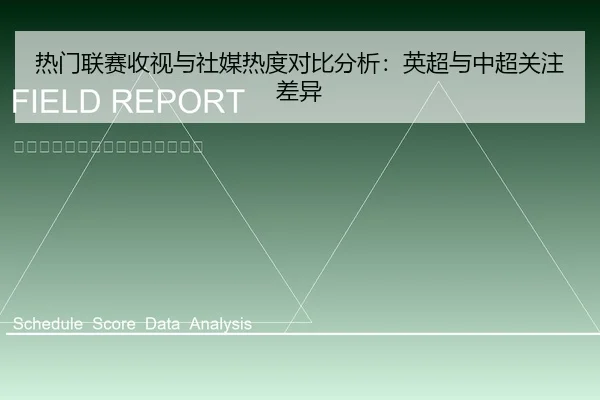 热门联赛收视与社媒热度对比分析：英超与中超关注差异